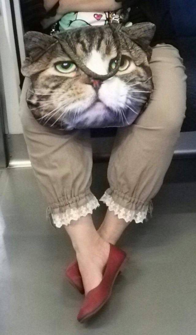 Content Image