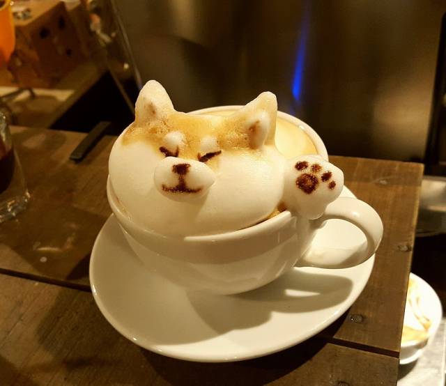 Content Image