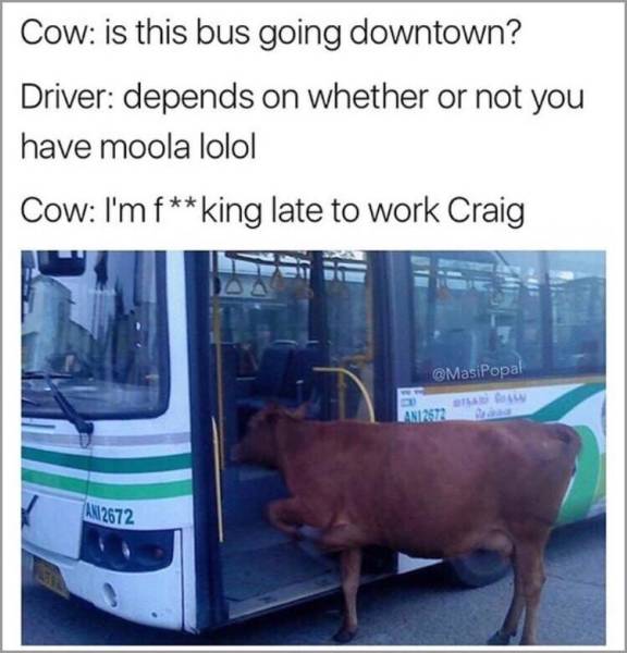 Funny Picdump