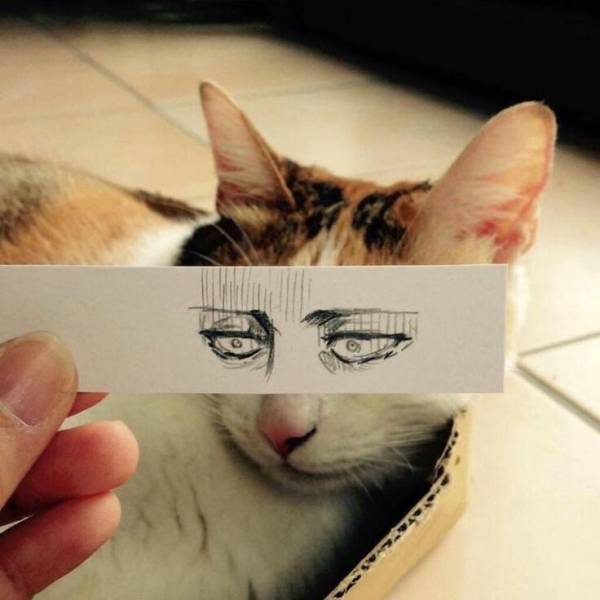 Content Image
