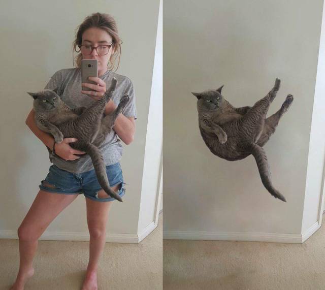 Content Image