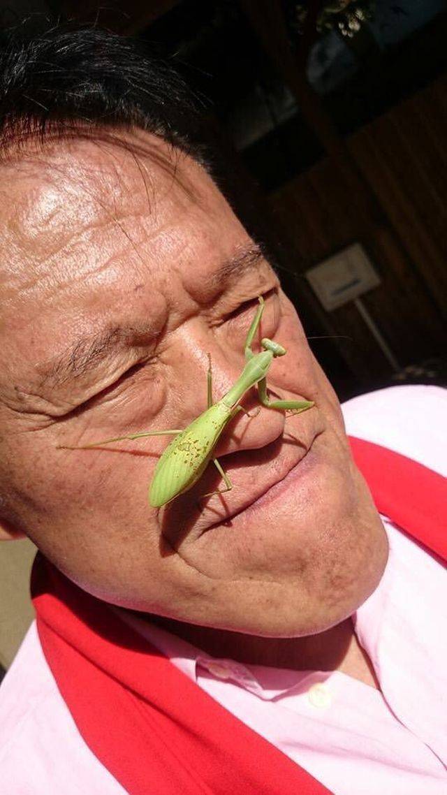 Content Image