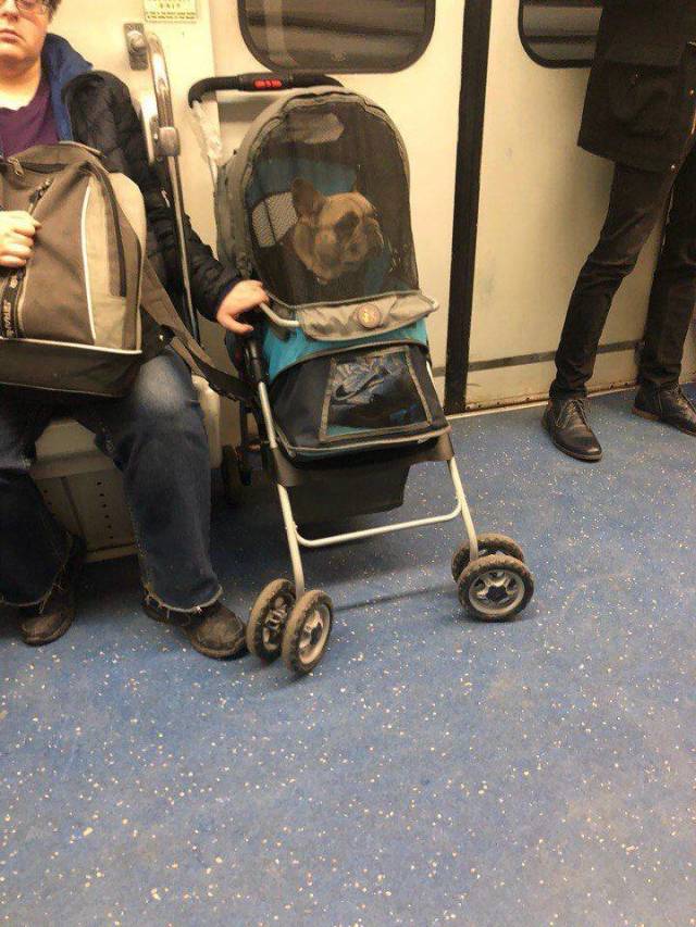 Content Image