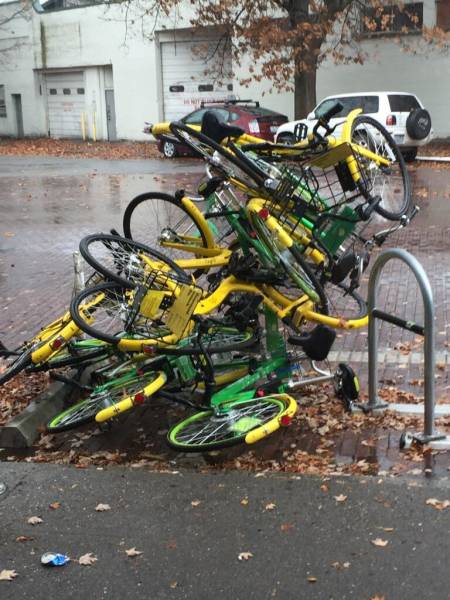 Morning Picdump