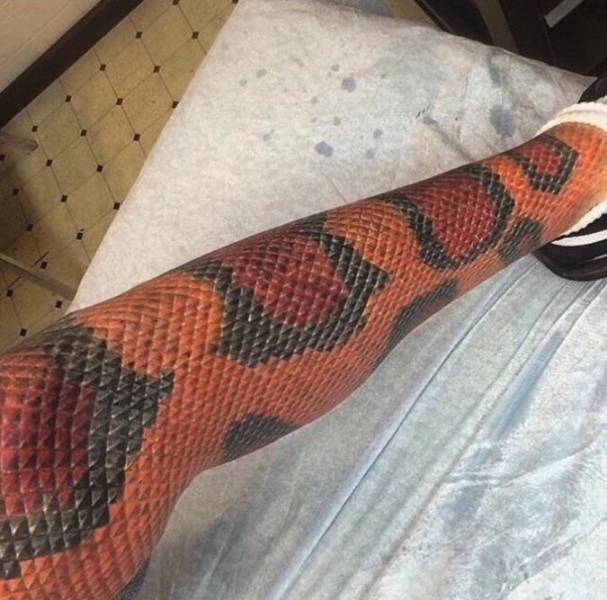 Content Image