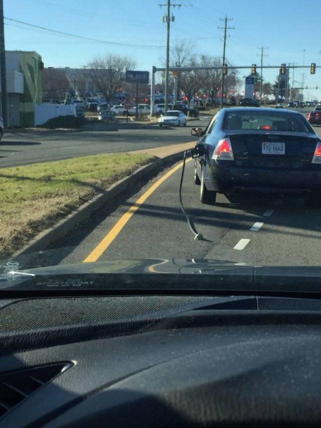 Daily Picdump [WEEKEND EDITION]