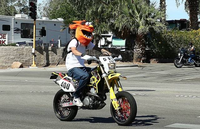 Daily Picdump