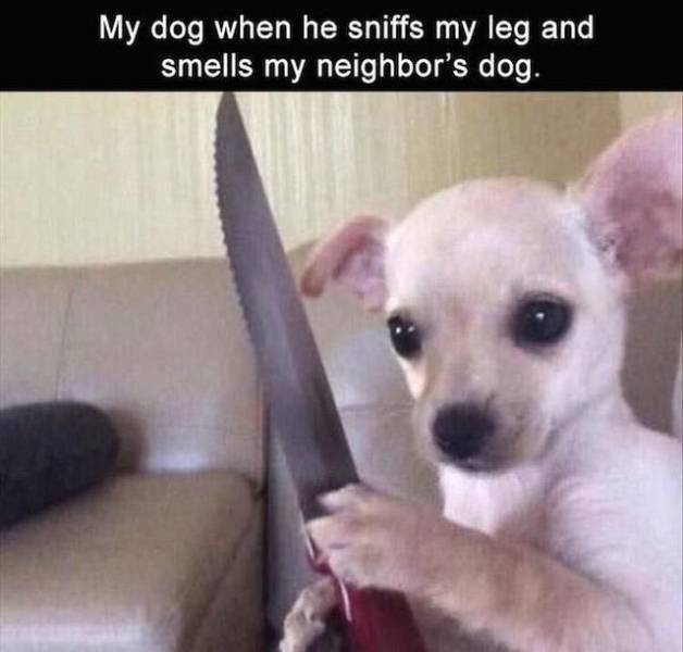 Content Image