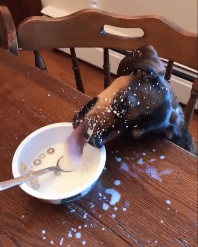 Content Image