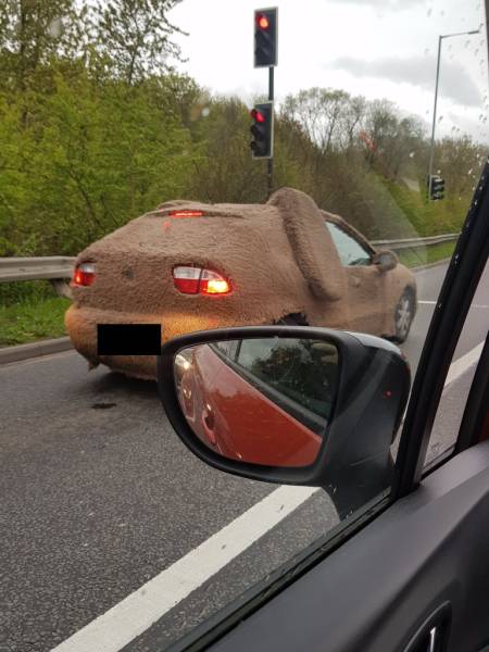 Funny Picdump