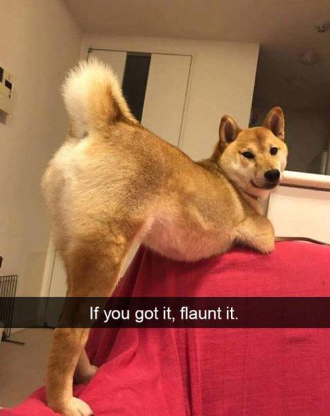 Content Image