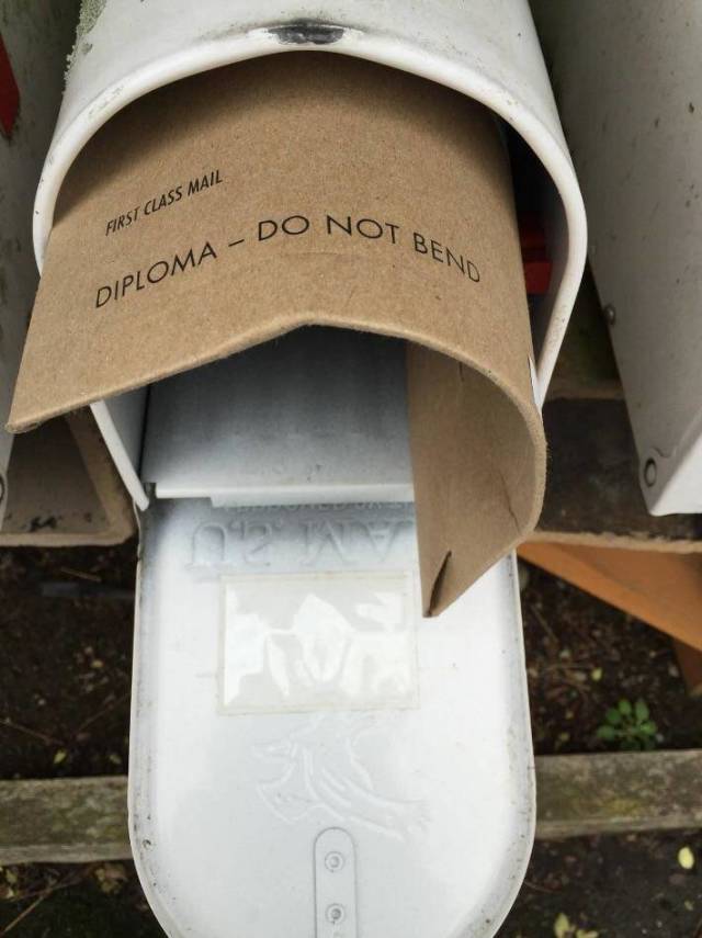 Funny Picdump