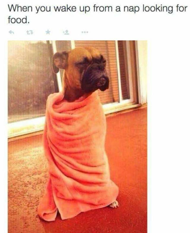 Funny Picdump