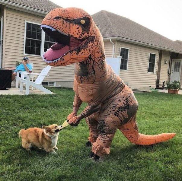 Content Image