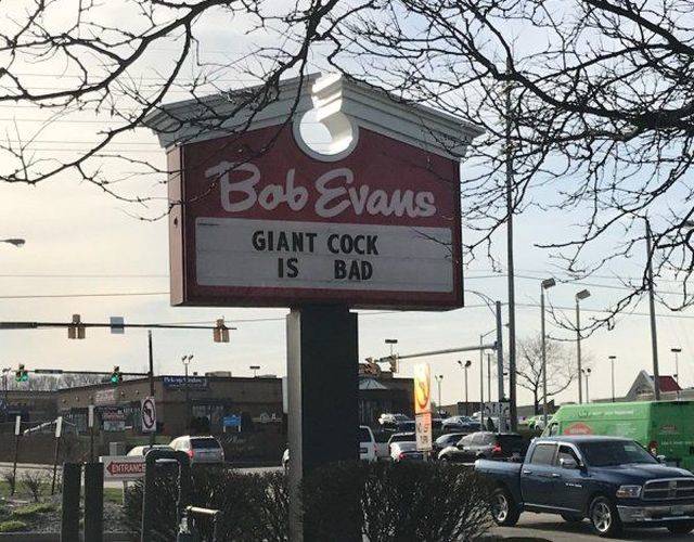Content Image