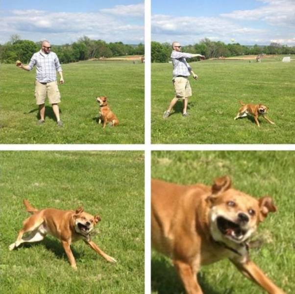 Content Image