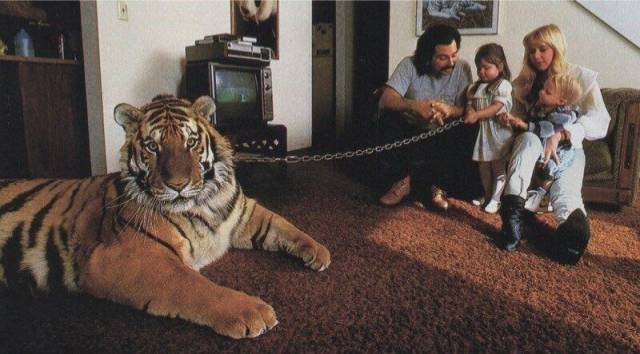 Daily Picdump