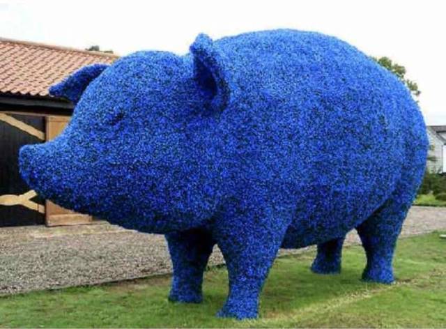 Morning Picdump