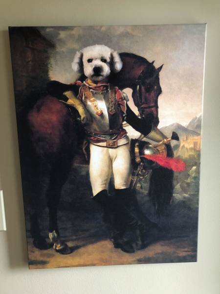 Morning Picdump