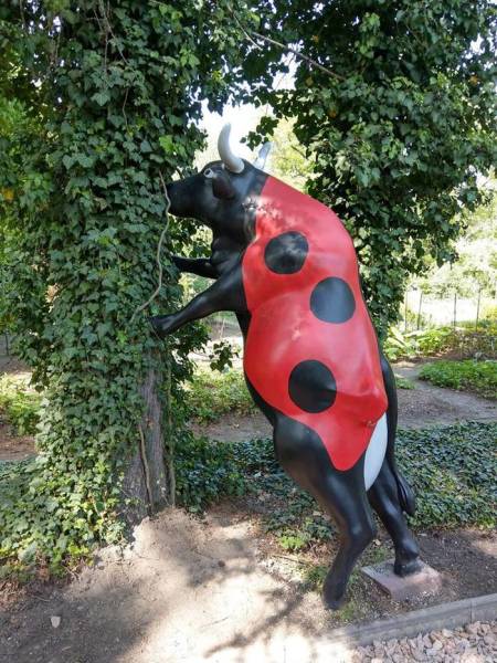 Morning Picdump