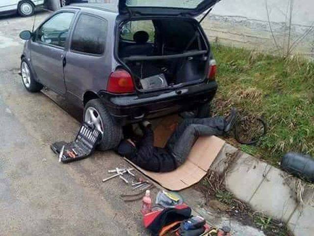 Daily Picdump [WEEKEND EDITION]