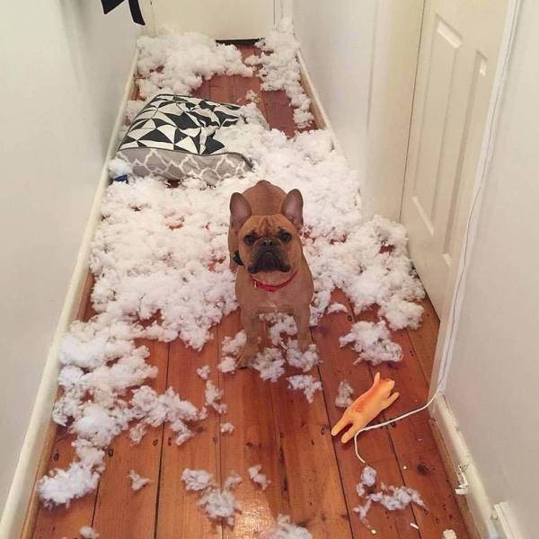 Daily Picdump [WEEKEND EDITION]