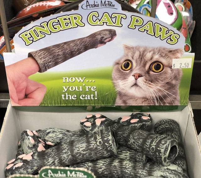 Daily Picdump [WEEKEND EDITION]