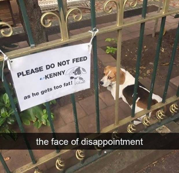 Daily Picdump [WEEKEND EDITION]