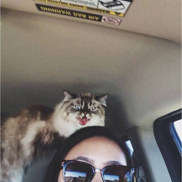 Daily Picdump