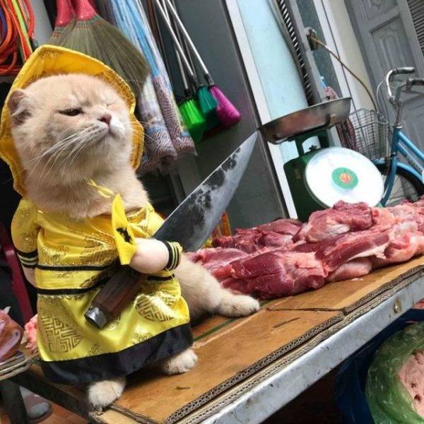 Content Image