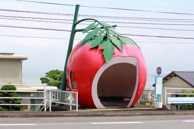 Content Image