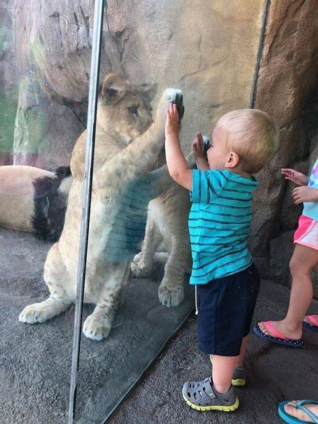 Daily Picdump
