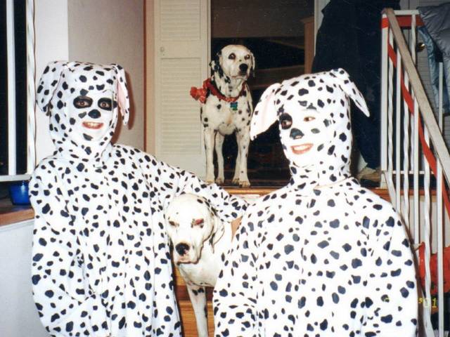 Daily Picdump