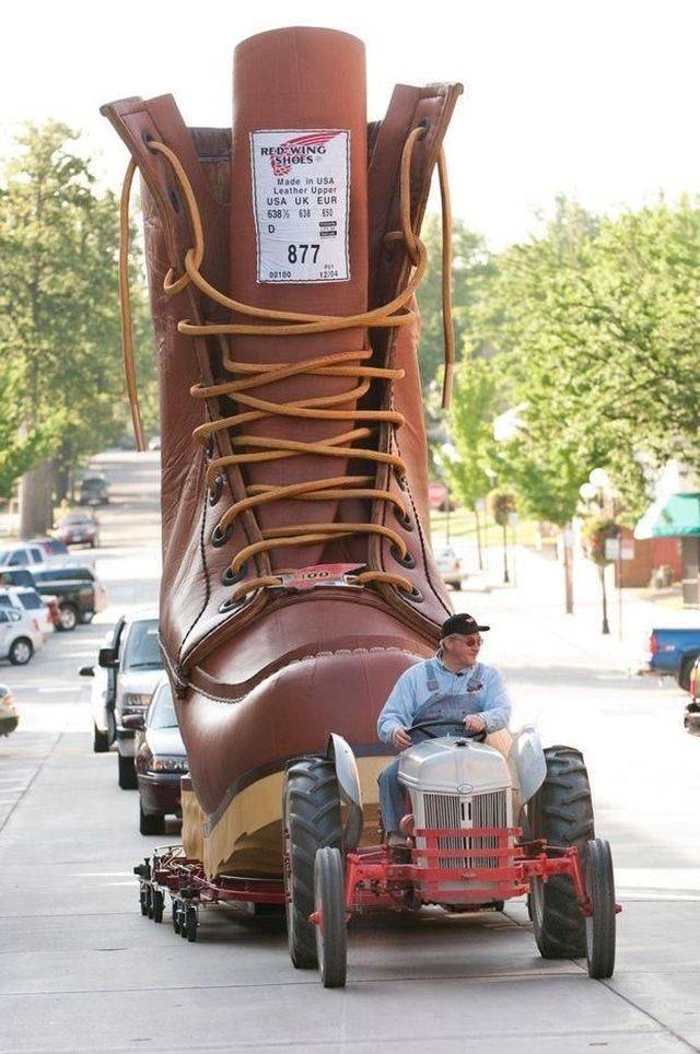 Daily Picdump
