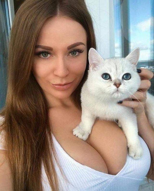 Content Image