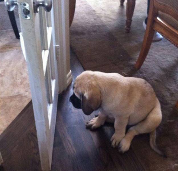 Content Image