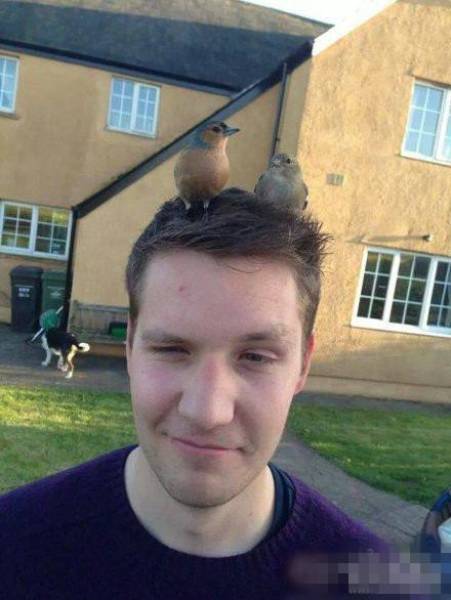 Content Image