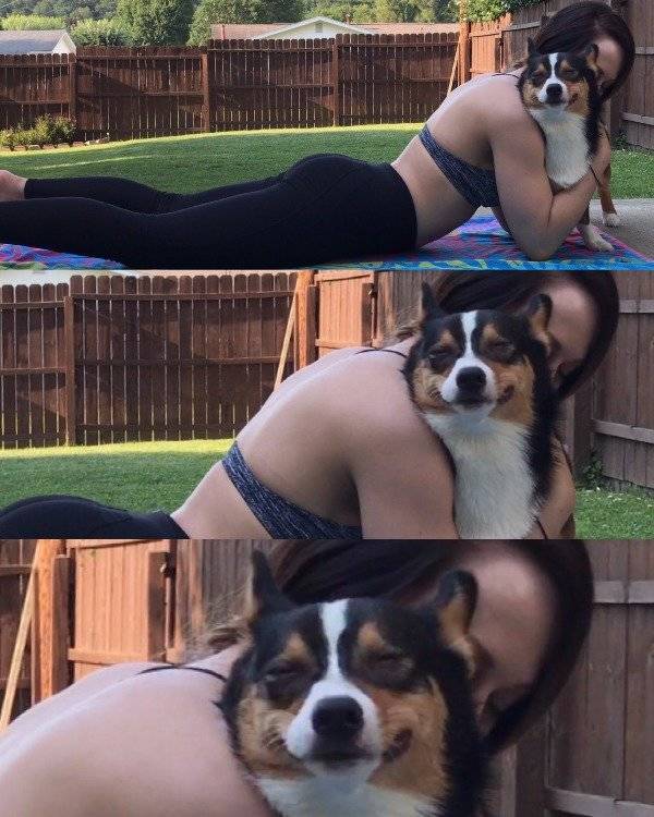 Content Image