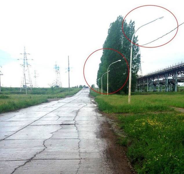 Content Image