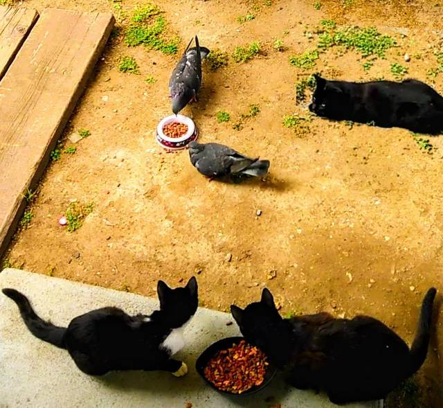 Daily Picdump