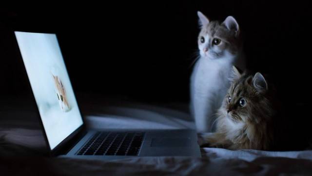 Daily Picdump