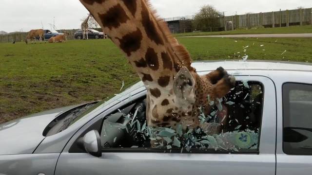 Daily Picdump