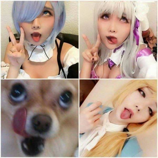Daily Picdump