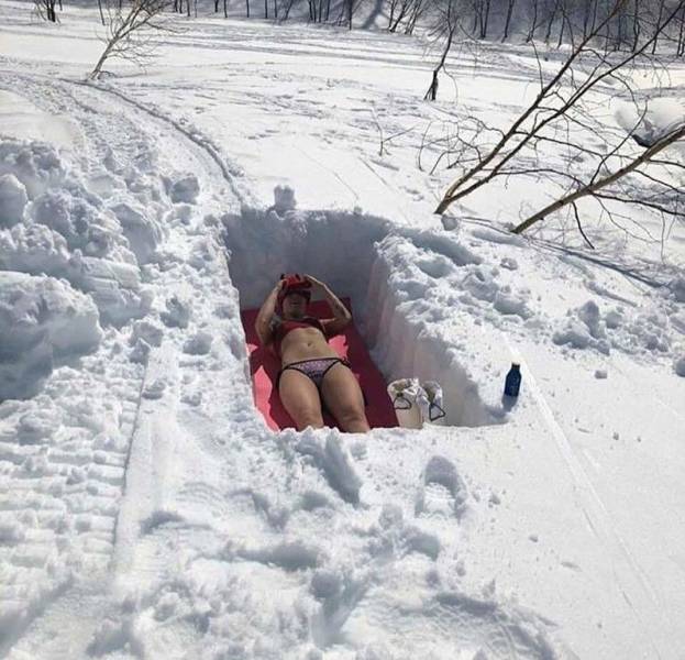 Daily Picdump