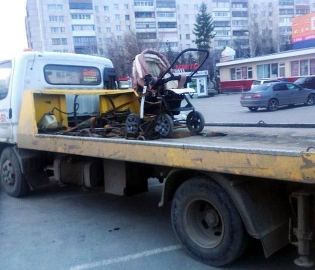 Daily Picdump