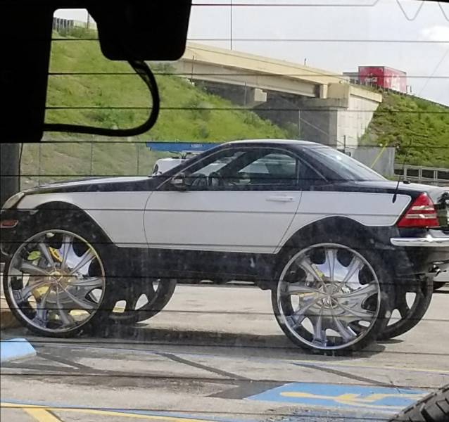 Daily Picdump