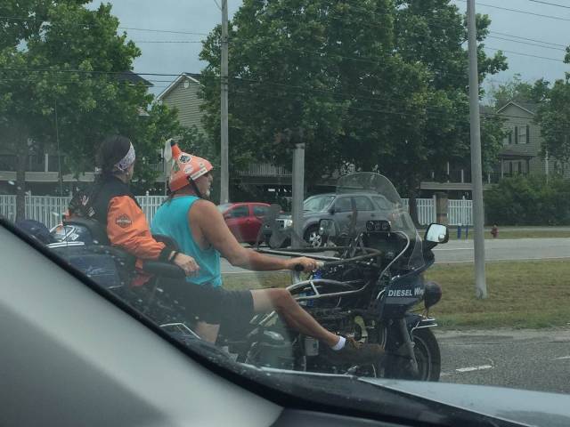 Daily Picdump