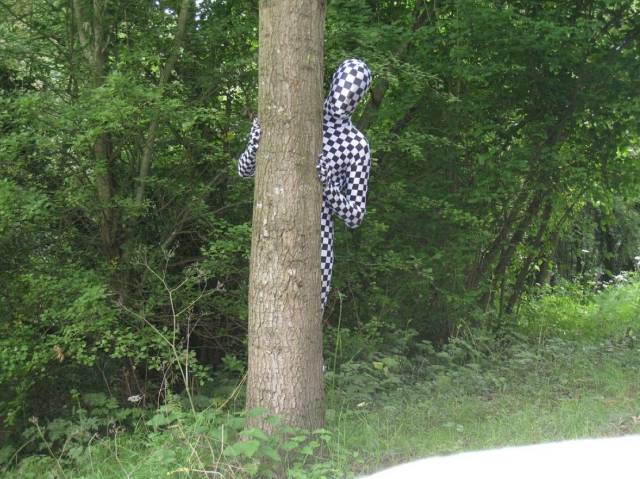 Daily Picdump
