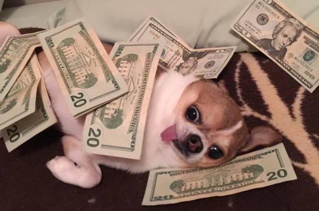 Content Image