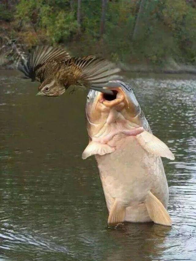 Daily Picdump